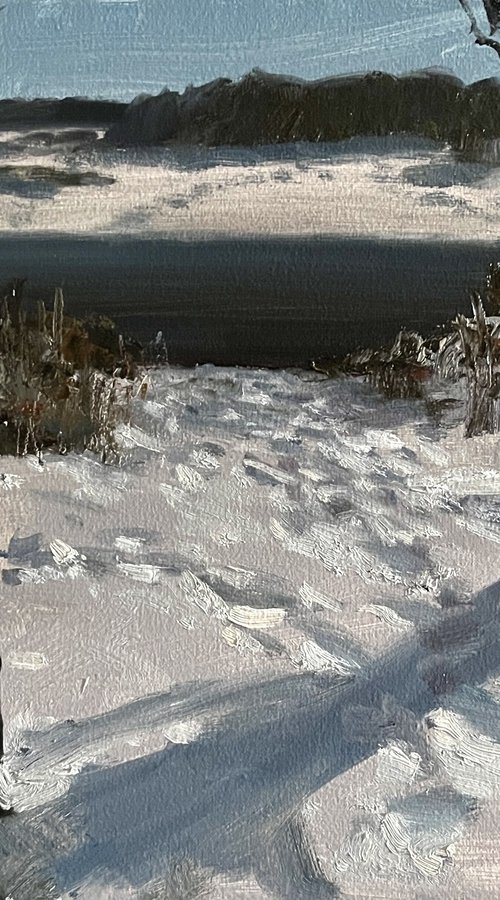 River in winter by Michael Rak