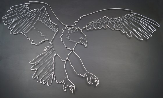 Bald Eagle in Flight Wire Drawing