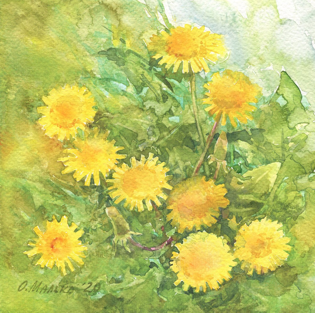 Yellow dandelion in green grass / Spring sketch Watercolor flowers Floral painting by Olha Malko