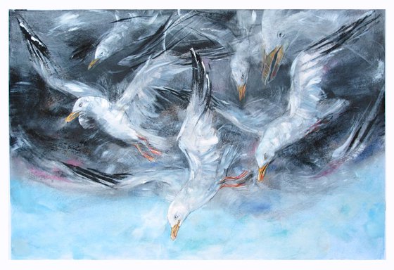 Cloud, Gulls