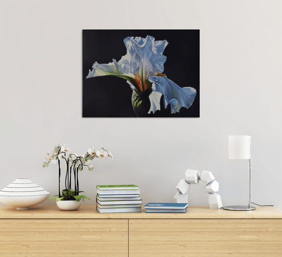 "Morning iris." flowers iris fotorealistic 2021