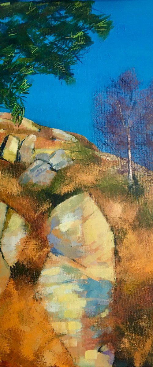 Rocks at the Elan Valley by Stuart Roper