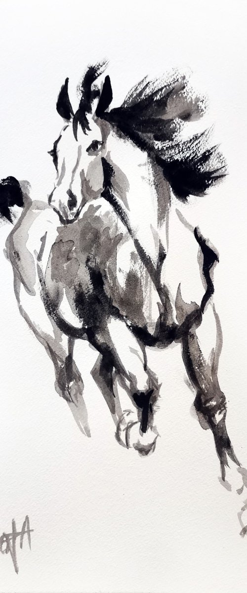 HORSE by Nicolas GOIA