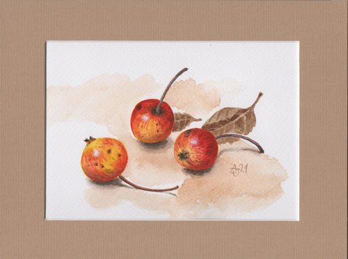 Autumn - Wild apples 1 by Jolanta Czarnecka