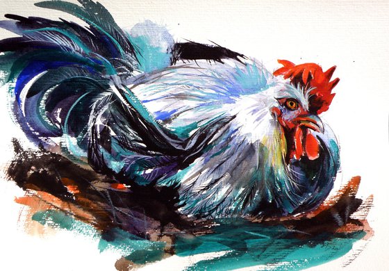 Resting rooster