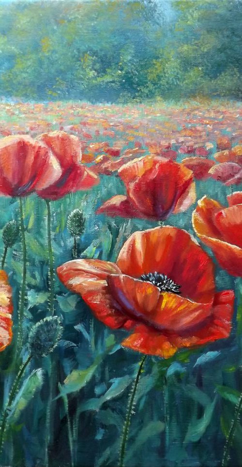 Poppy Field by Oleg Riabchuk