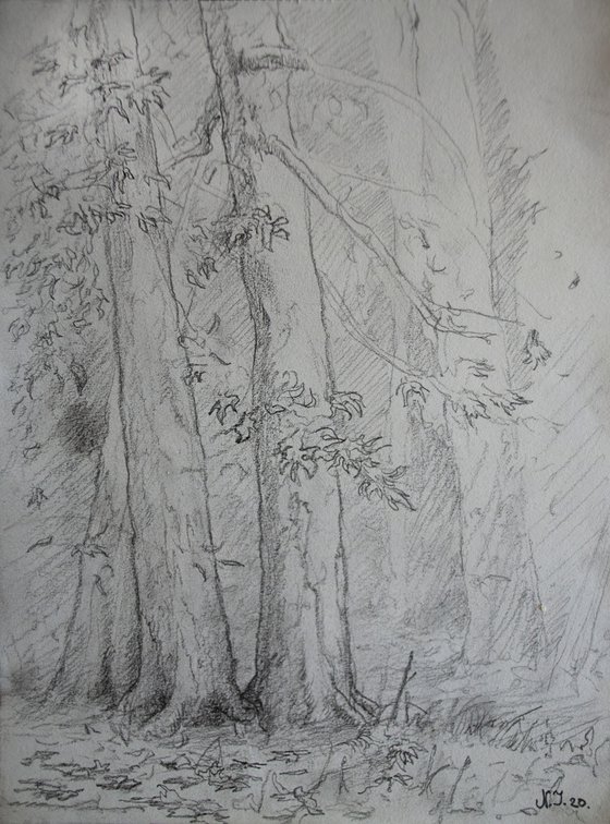 Tree study IV