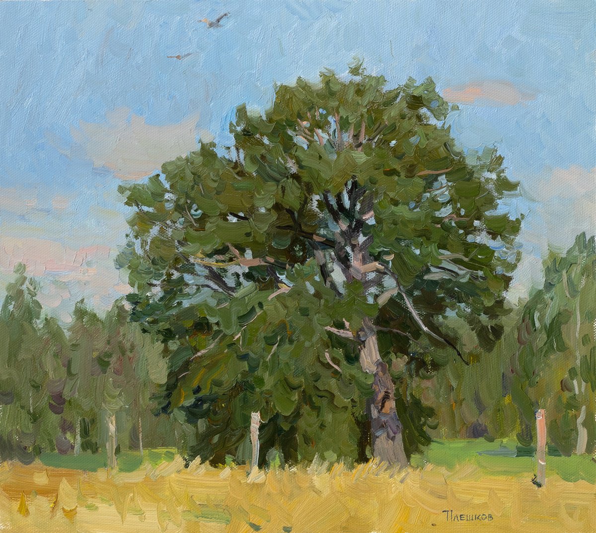 Oak by Alexey Pleshkov