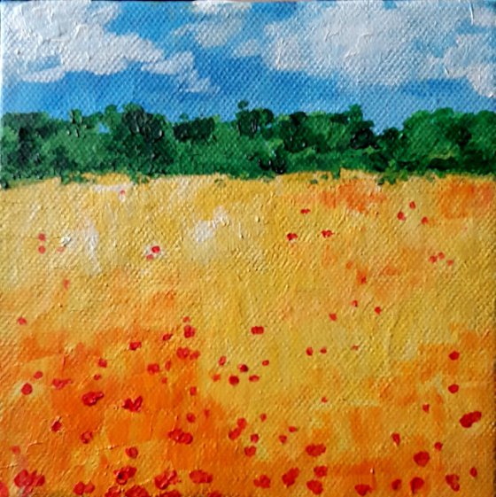 Poppies in the wheat