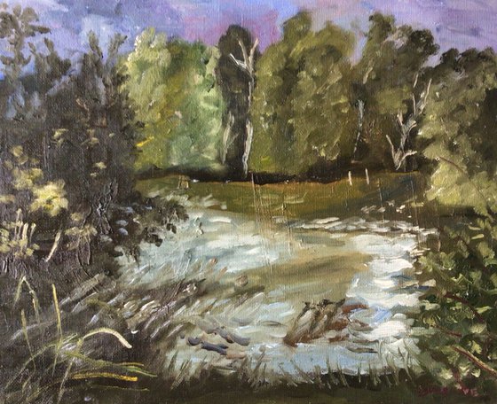 Lakeside view