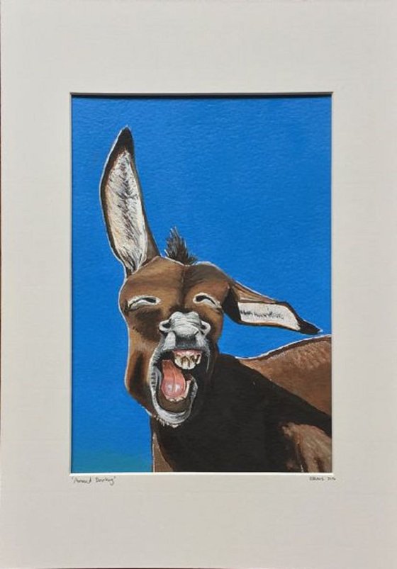 Amused donkey