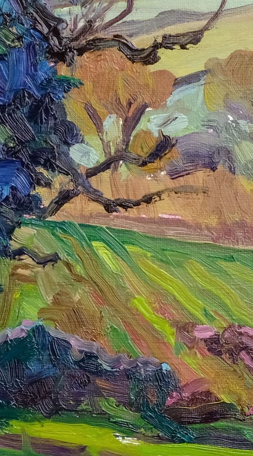 November Oak, Terrington by Jeff Parker