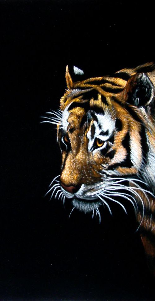 Tiger by Vlad Atasyan