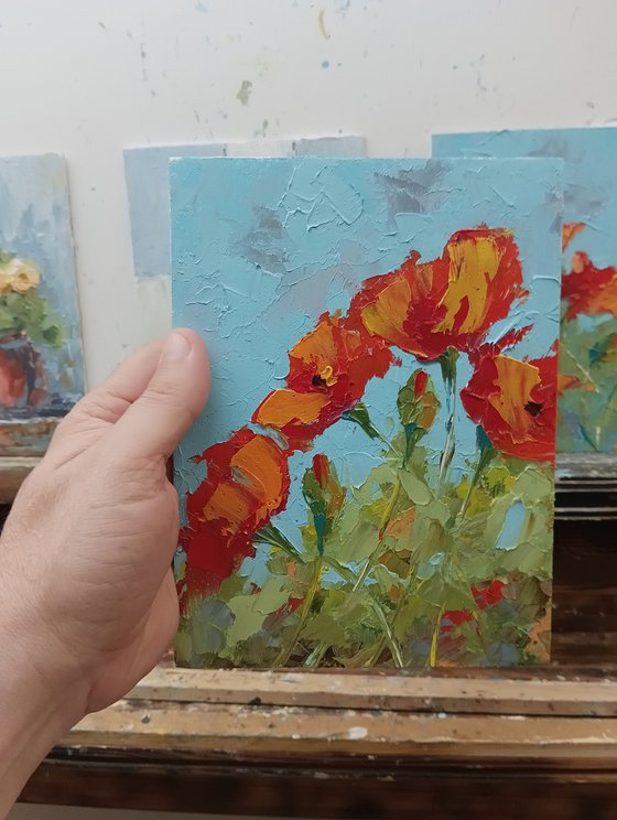 Red poppy flowers in the field. Small format art