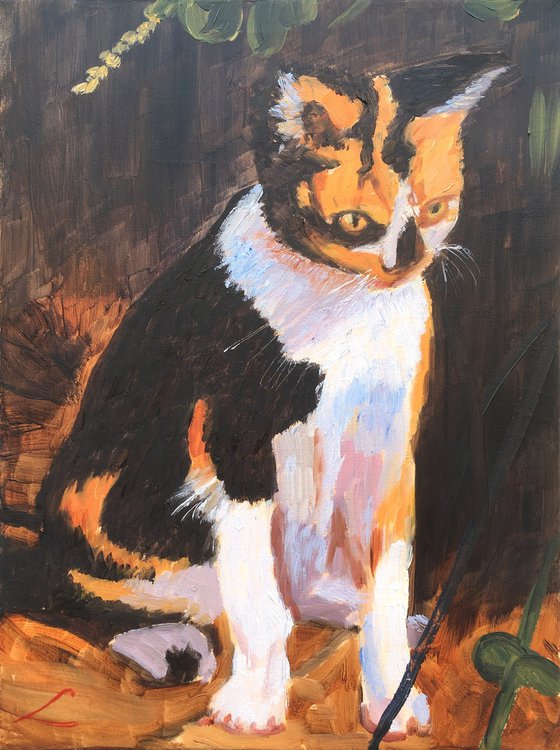 Cat