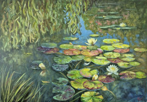 Aquatic sanctuary