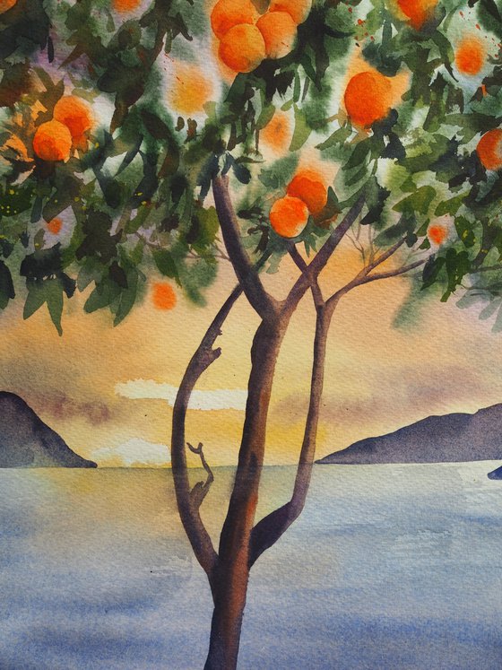 Winter mediterranean sunset with oranges tree