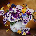Pansy