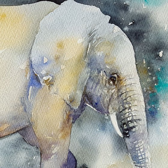 Twilight_ African Elephant