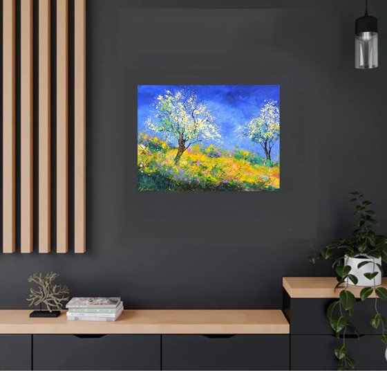 Spring in full bloom