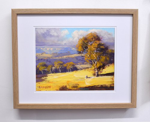 Gum trees in Summer Australian Landscape by Graham Gercken