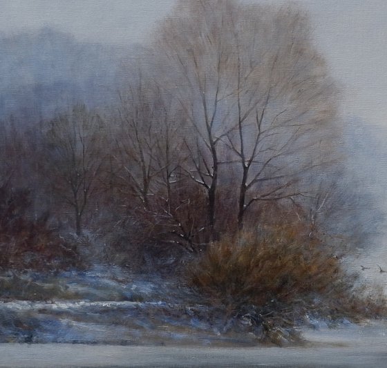 Winter landscape