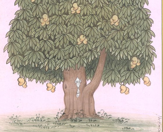 Royal Mango Tree | Indian Miniature Painting