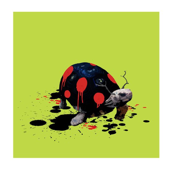The Tortoise Who Wanted to be a Ladybird
