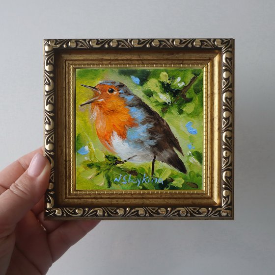 Spring Robin Bird
