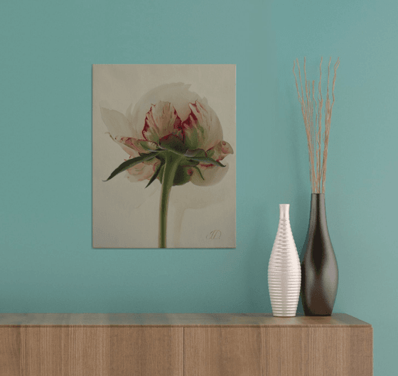 White peony on a white background