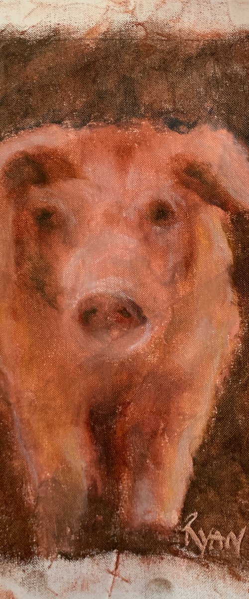 Pig by Ryan  Louder