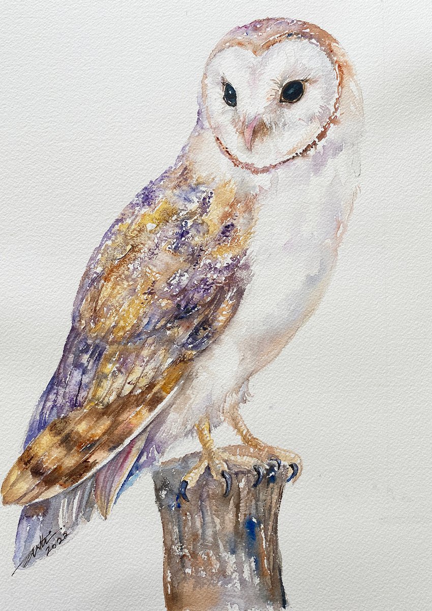 Barn owl Arne by Arti Chauhan