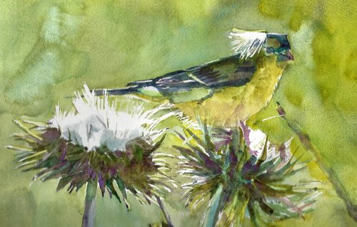 Bird on a Thistle by Bronwen Jones