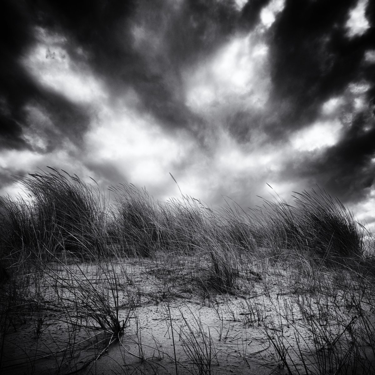Photorealistic Landscape Photograph By Christian Schwarz, 17 X 17, Strong Winds Coming Up, Original Artwork