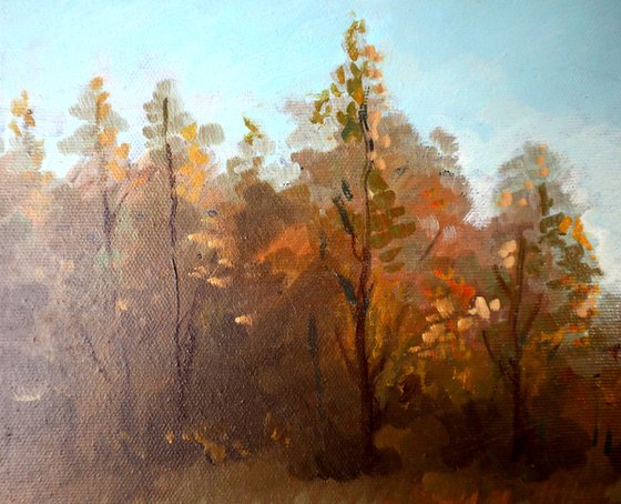 Landscape 1.