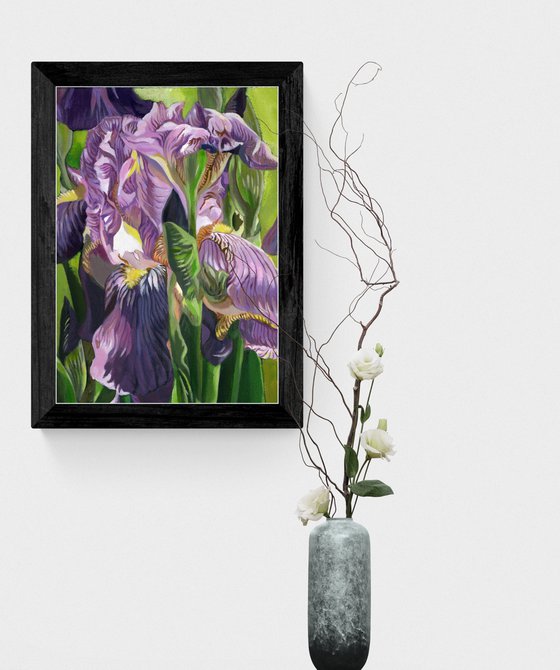 pink iris acrylic floral