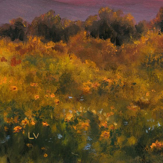 California golden hour landscape