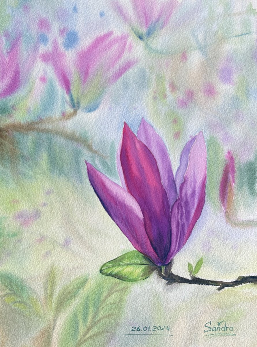 Impressionistic Watercolour , Blooming Pink Magnolia By Oleksandra Padushyna, 11 X 15, Artwork For Sale On Artfinder