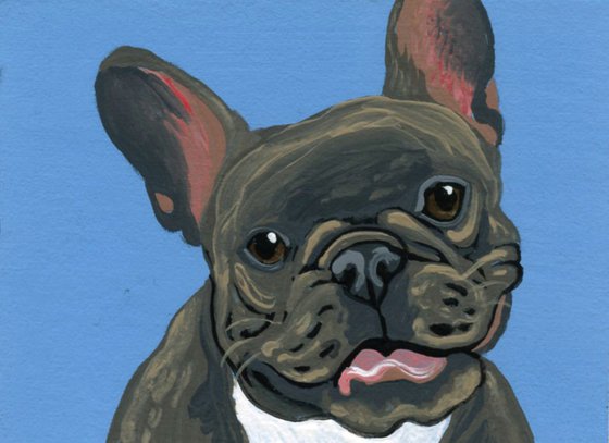 ACEO ATC Original Miniature Painting Brown French Bulldog Pet Dog Art-Carla Smale