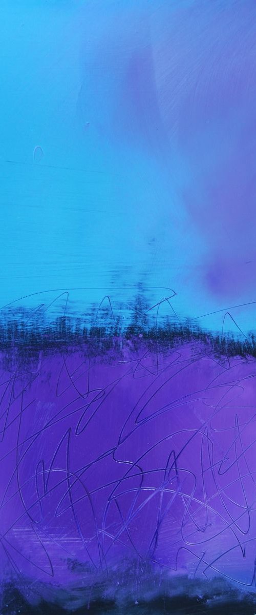 purple field in summer by Trevor Salisbury