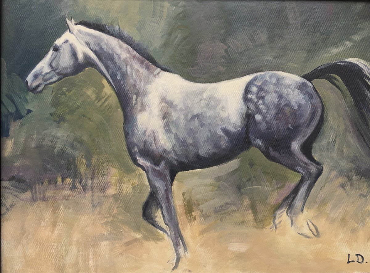 Footloose - Dapple Grey Horse by Lorna Lancaster ASEA