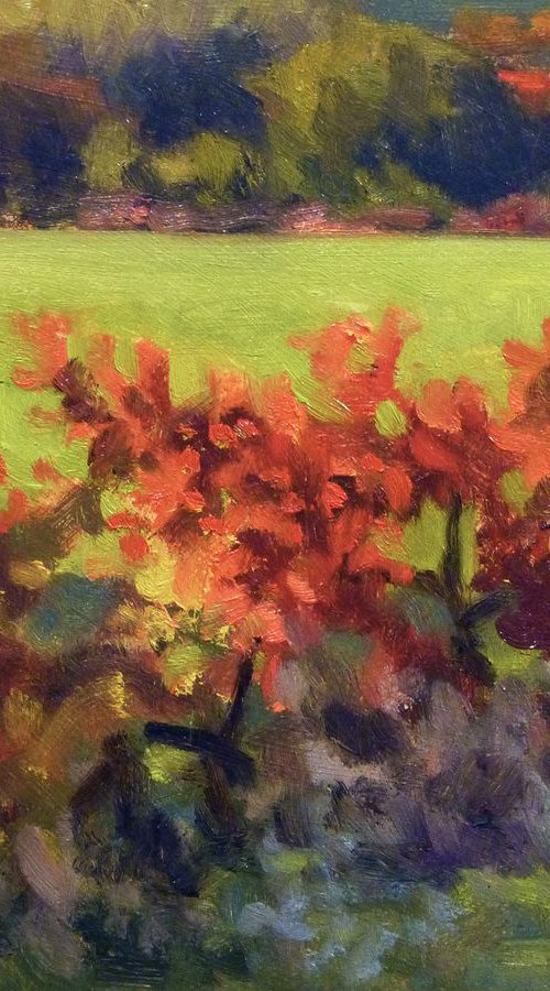 Red Vineyards by Pascal Giroud