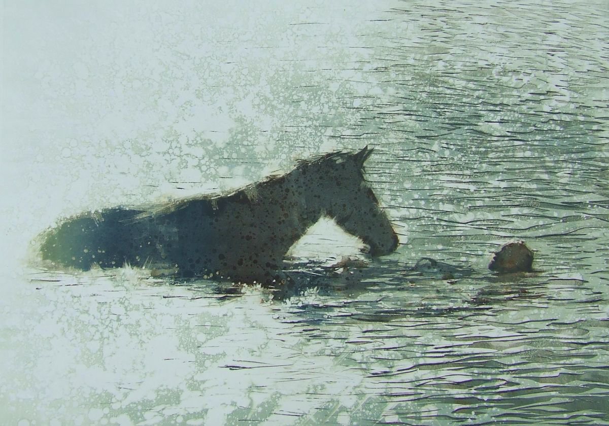 The Horse Whisperer by Amanda Averillo