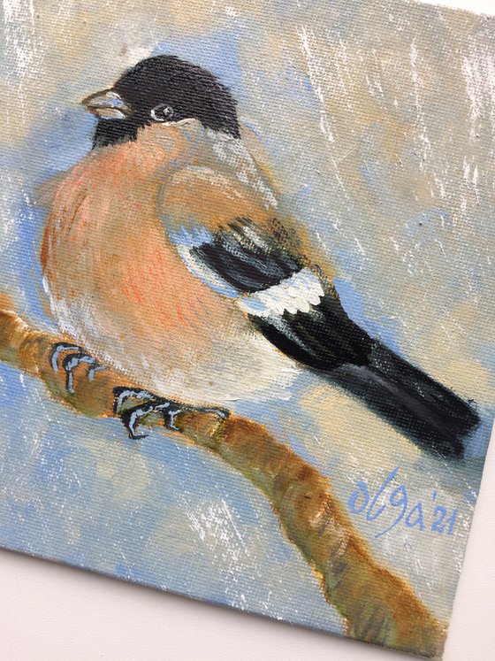 Diptych oil paintings - Bird small canvas - Bullfinches for bird lover - Christmas gift idea