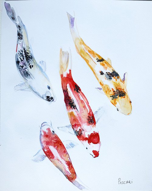Koi fish by Olga Pascari