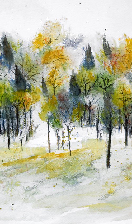 Summer in the Woods by Aniko Hencz