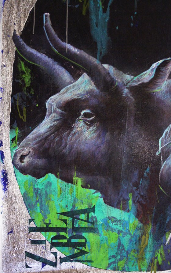 НЕЗНАКОМКА С БЫКОМ.