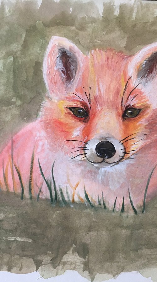 Little Fox in The Grass by Timea  Valsami