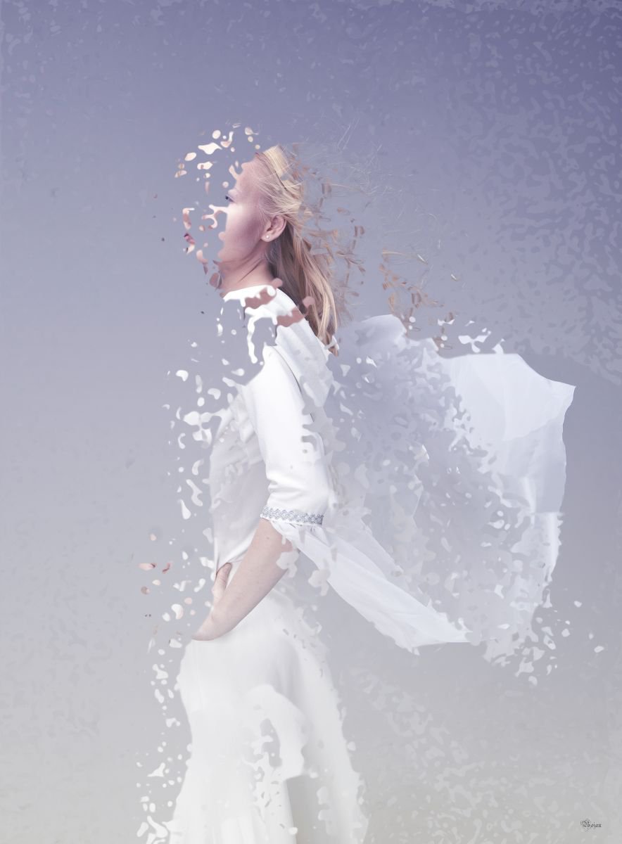 Illustrative Portrait Photograph By Bojan Jevtic, 32 X 43, The Vanishing, Original Artwork