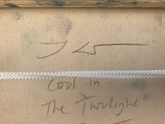 Cool in the Twilight
